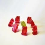 group-bears photo by baikahl