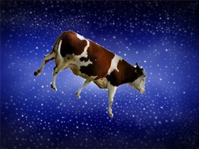 cow-space