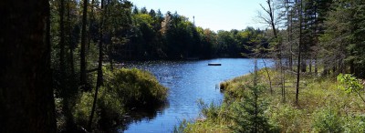 ain blueberry lake