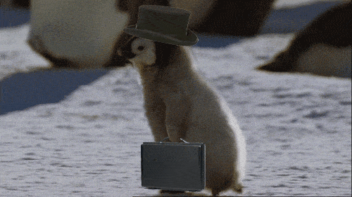 penguin businessman